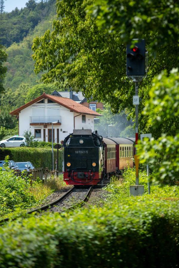 Villa Parkhaus Wernigerode Bagian luar foto